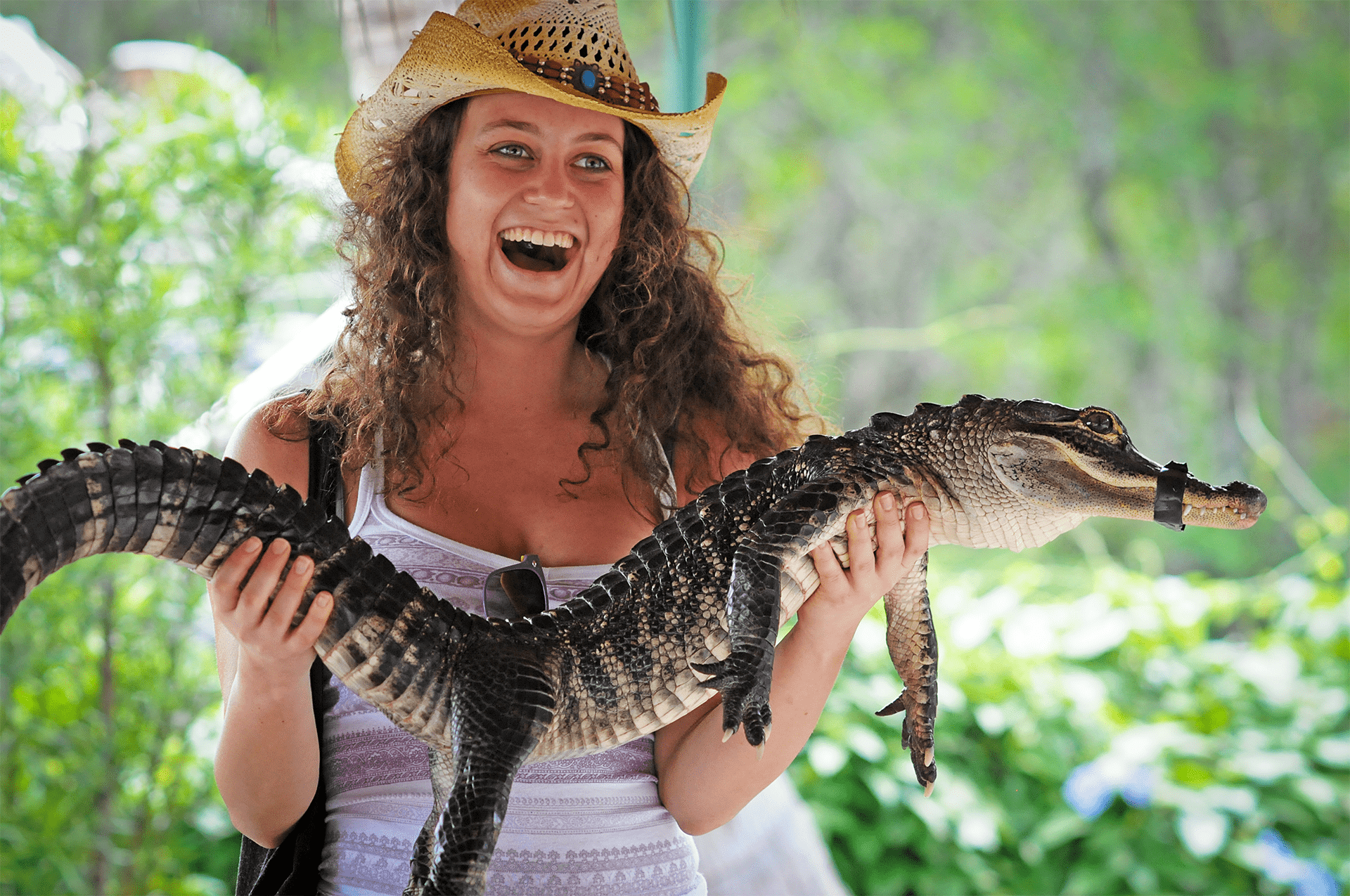Nainen pitelee turistiesityksessä Floridassa nuorta alligaattoria, jonka suu on teipattu kiinni turistien turvaksi. for 