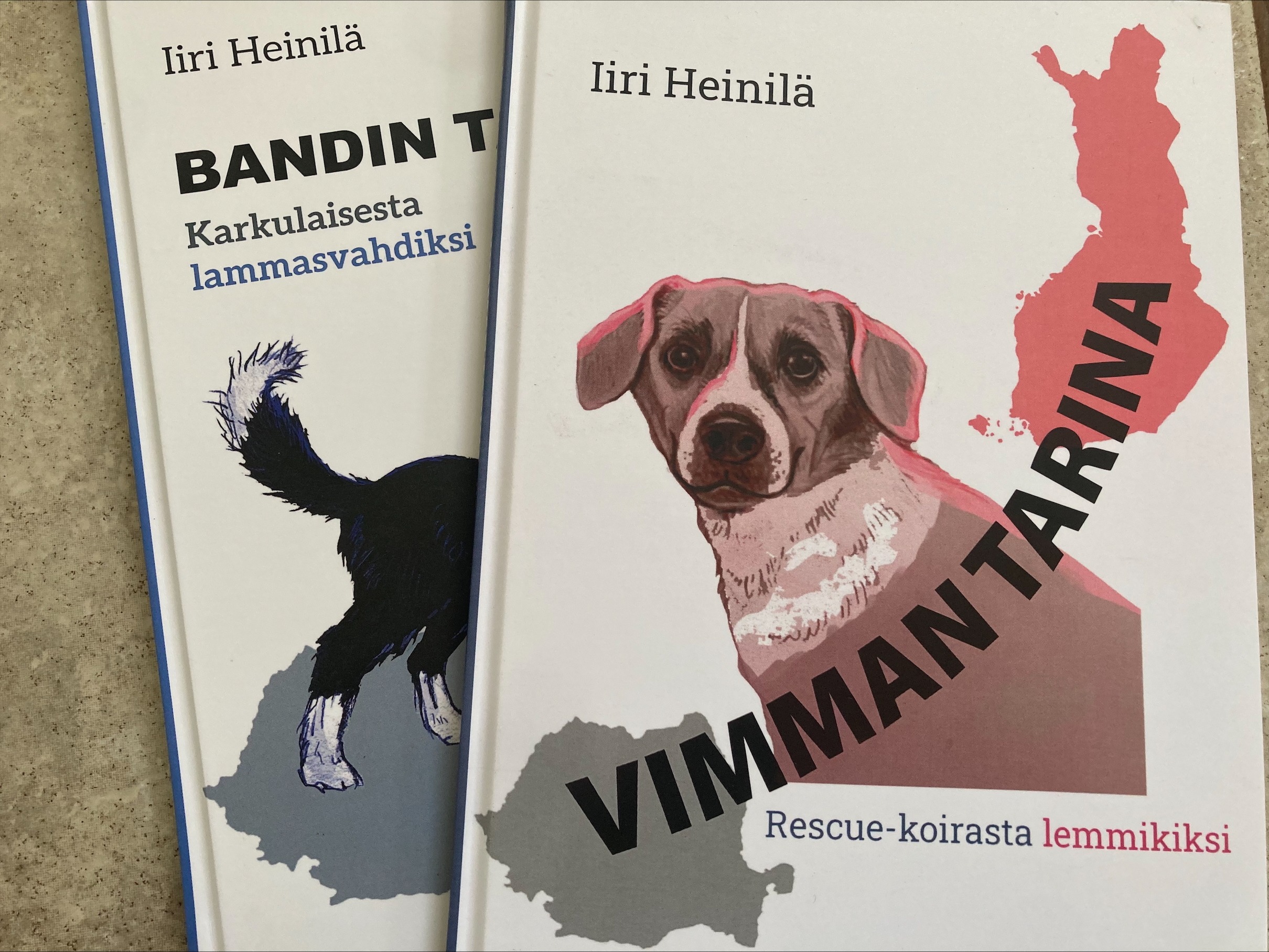 Iiri Heinilän teokset kuvassa for 