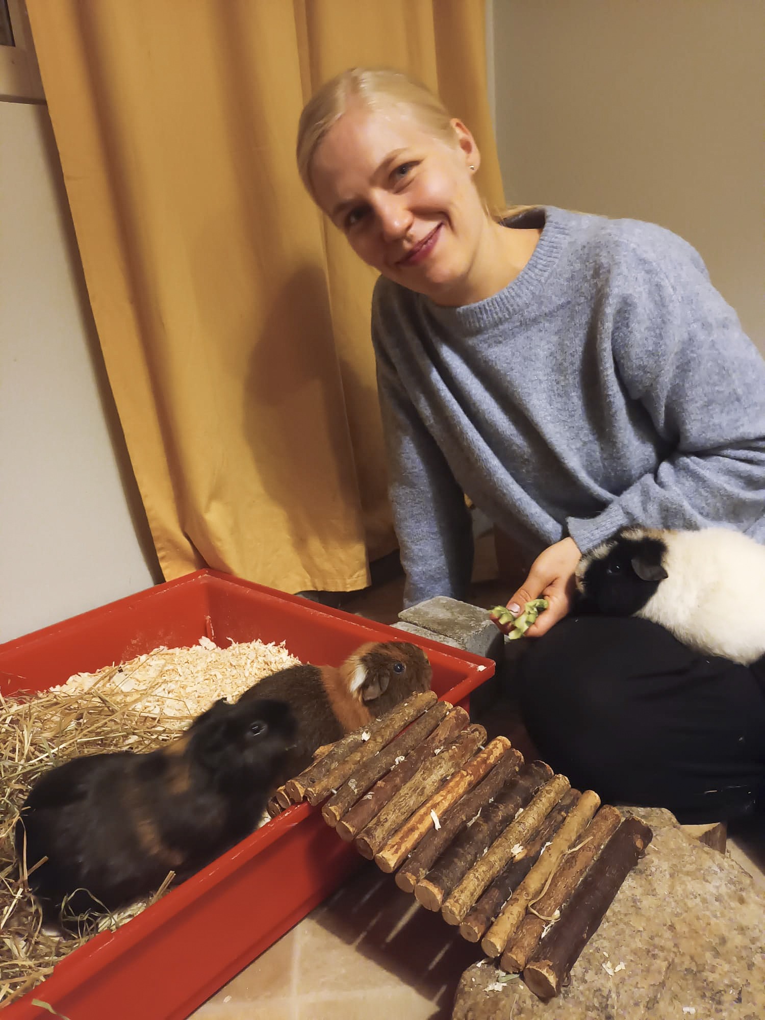 Eläinlääkäri Aino Patjas ja marsuja. Marsut ovat asumuksessaan lattialla, Aino Patjas marsujen niiden vieressä.