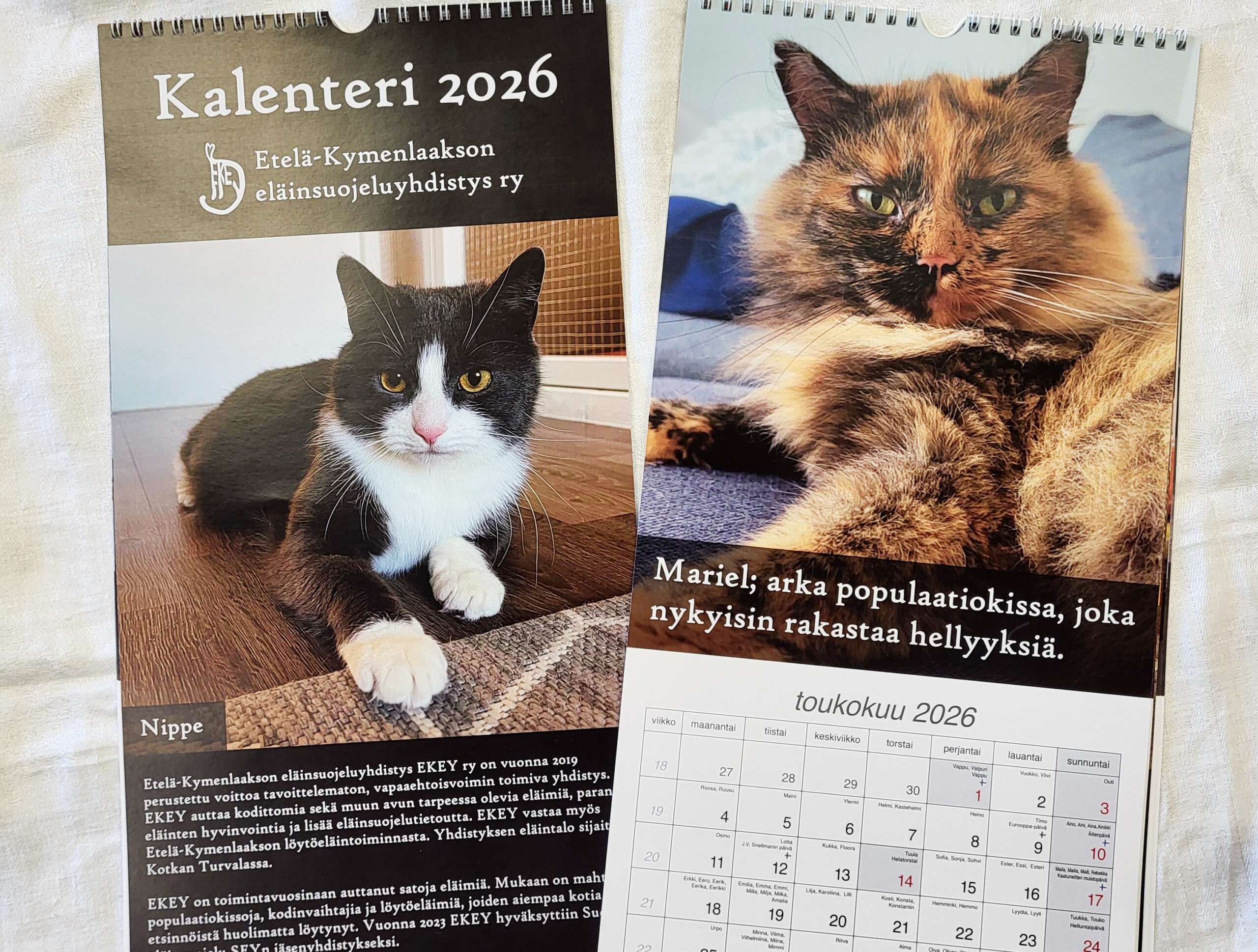 kaksi kuvaa seinäkalenterista, jonka sivuilla kuvat kissoista, auta eläimiä